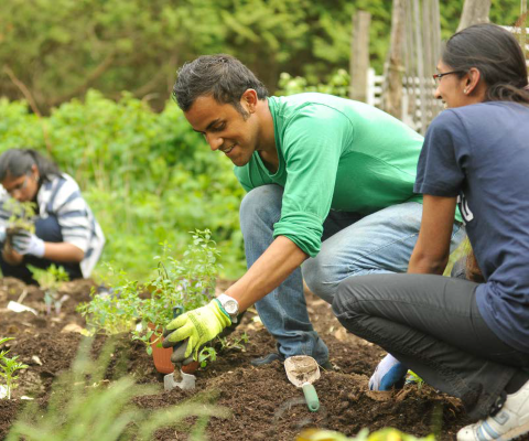 Étudiants travaillent dans un potager.