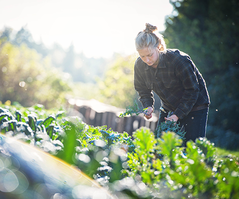 Young women Research in field 