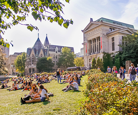 Students siting in the university garden 