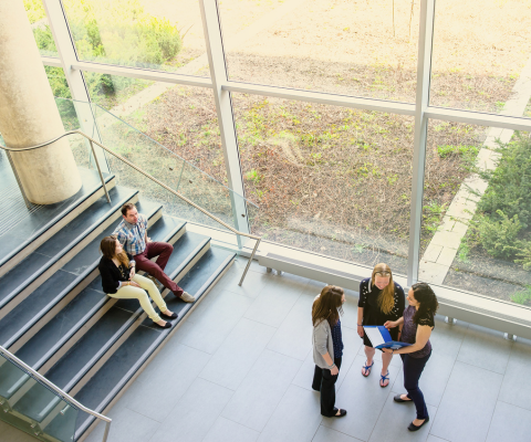 Five students on stairs / Cinq étudiants dans les escaliers